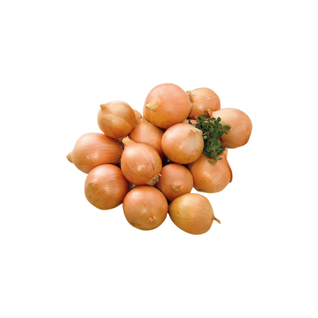 Onion (Brown Table, 500g)