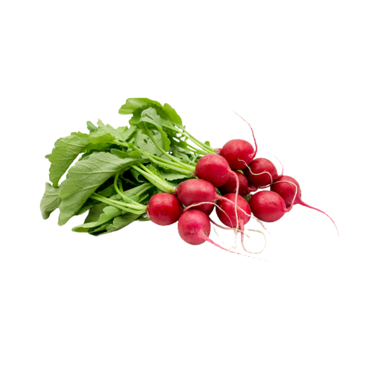 NZ Red Radish (500g)
