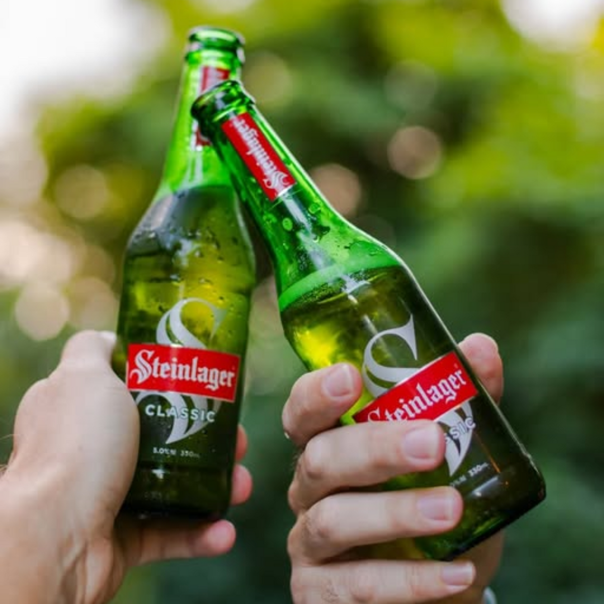 Steinlager - Classic Lager Beer (ABV5.0%, 330ml)